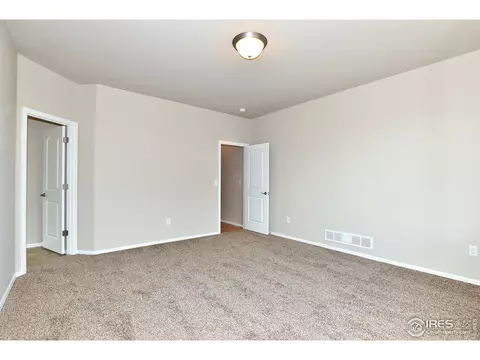 808 Mt Sneffels Ave, Windsor, CO 80550 photo 23