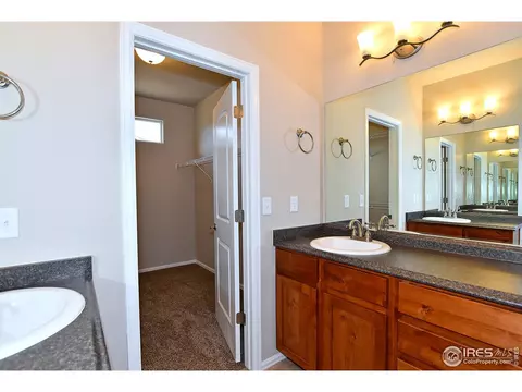 808 Mt Sneffels Ave, Windsor, CO 80550 photo 26