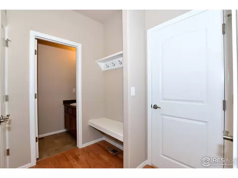 808 Mt Sneffels Ave, Windsor, CO 80550 photo 19