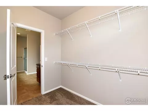 808 Mt Sneffels Ave, Windsor, CO 80550 photo 29