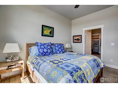 6690 Crystal Downs Dr #207, Windsor, CO 80550 photo 29