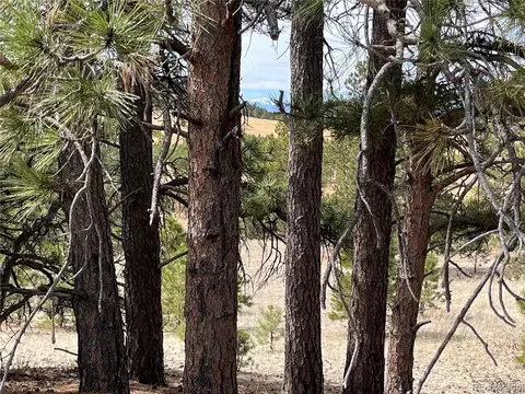 Undisclosed, Peyton, CO 80831 photo 40