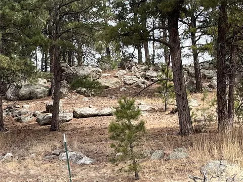 Undisclosed, Peyton, CO 80831 photo 39