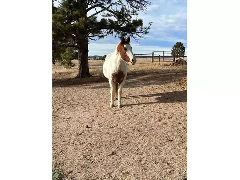 Undisclosed, Peyton, CO 80831 photo 14