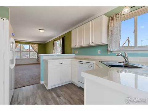121 Emilio Ct, Frederick, CO 80530 photo 10