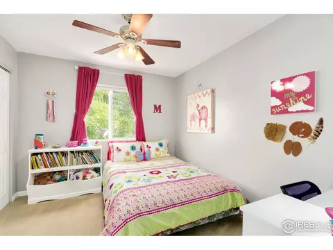1117 Summit Ct, Windsor, CO 80550 photo 21