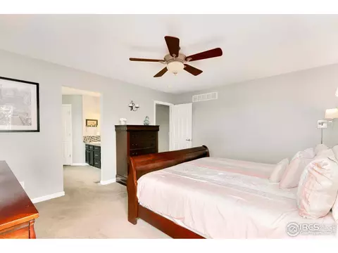 1117 Summit Ct, Windsor, CO 80550 photo 18