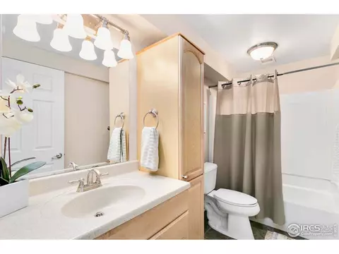 1117 Summit Ct, Windsor, CO 80550 photo 27