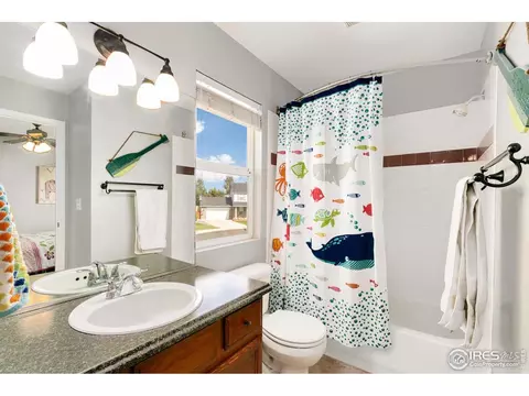 1117 Summit Ct, Windsor, CO 80550 photo 22