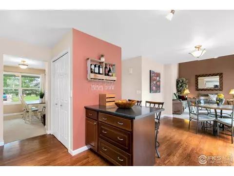 1117 Summit Ct, Windsor, CO 80550 photo 7