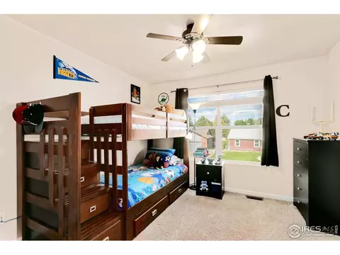1117 Summit Ct, Windsor, CO 80550 photo 20