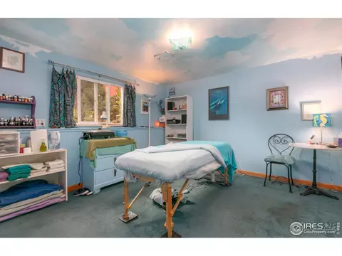 1460 Judson Dr, Boulder, CO 80305 photo 18