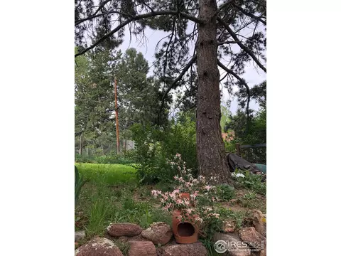 1460 Judson Dr, Boulder, CO 80305 photo 22