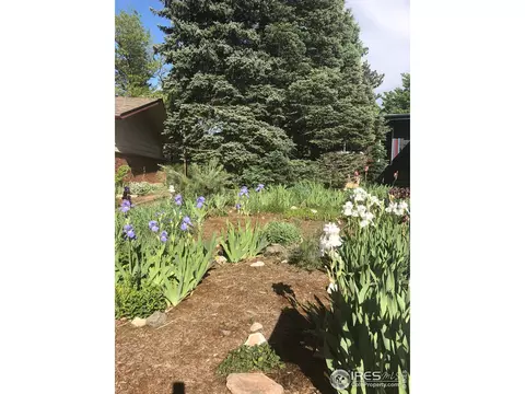 1460 Judson Dr, Boulder, CO 80305 photo 28