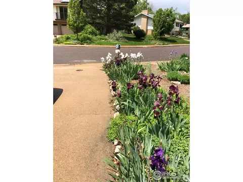 1460 Judson Dr, Boulder, CO 80305 photo 29