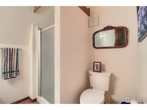 237 Arapahoe Ct, Lyons, CO 80540 photo 34