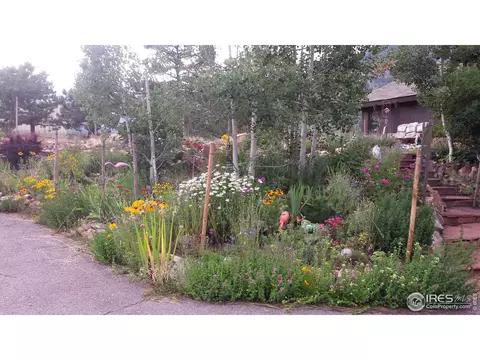237 Arapahoe Ct, Lyons, CO 80540 photo 2