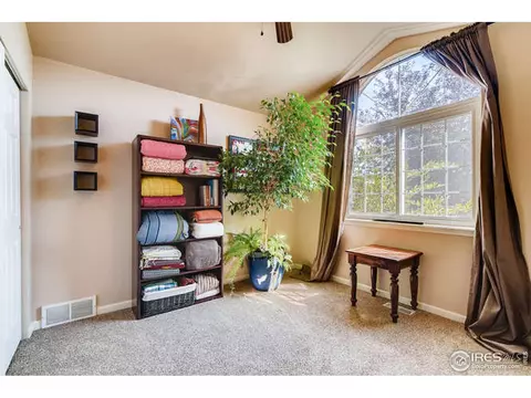 349 Whitney Bay, Windsor, CO 80550 photo 16