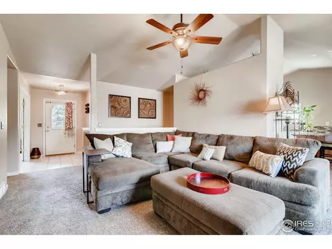 349 Whitney Bay, Windsor, CO 80550 photo 5