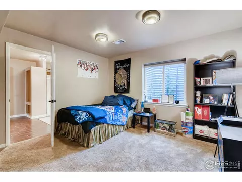 349 Whitney Bay, Windsor, CO 80550 photo 20