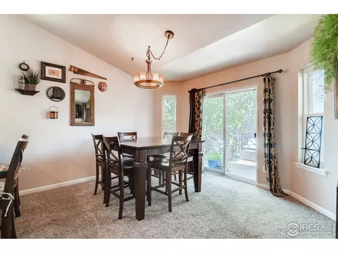 349 Whitney Bay, Windsor, CO 80550 photo 12