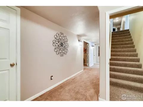 349 Whitney Bay, Windsor, CO 80550 photo 23