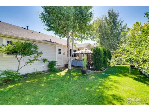 349 Whitney Bay, Windsor, CO 80550 photo 27