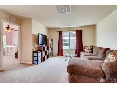 2055 E 166th Ave, Thornton, CO 80602 photo 29