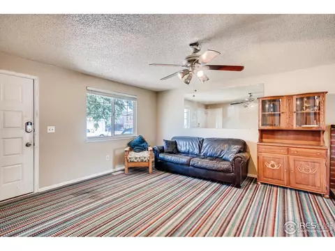 4162 E 117th Ave, Thornton, CO 80233 photo 4
