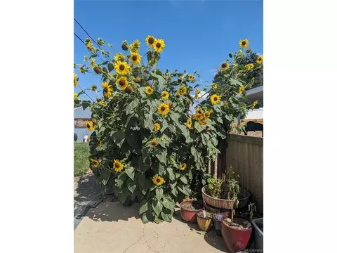 3460 Cherry St, Denver, CO 80207 photo 30