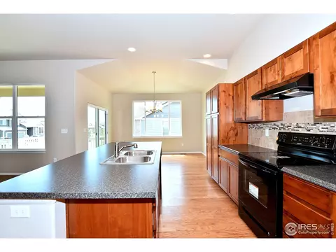 812 Mt Sneffels Ave, Windsor, CO 80550 photo 14