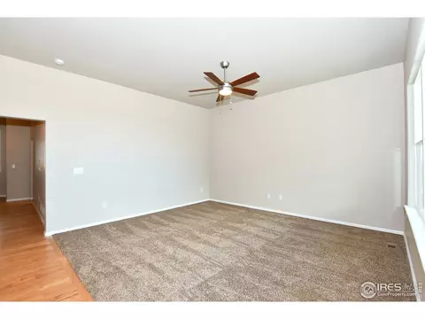 812 Mt Sneffels Ave, Windsor, CO 80550 photo 8