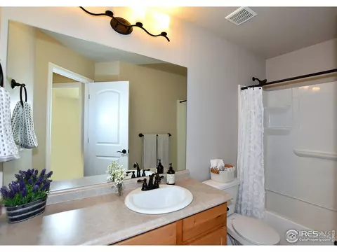 2067 Reliance Dr, Windsor, CO 80550 photo 33