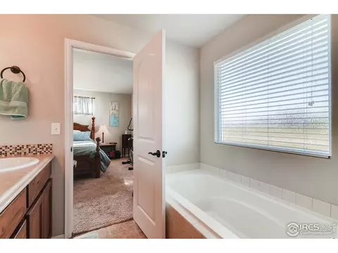610 Cherryridge Dr, Windsor, CO 80550 photo 18