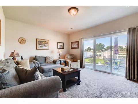 610 Cherryridge Dr, Windsor, CO 80550 photo 13