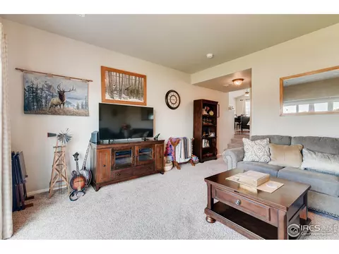 610 Cherryridge Dr, Windsor, CO 80550 photo 14