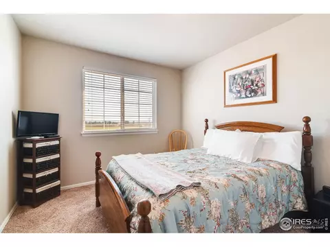 610 Cherryridge Dr, Windsor, CO 80550 photo 20