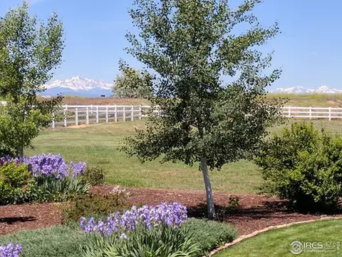 8427 E 163rd Ave, Brighton, CO 80602 photo 7