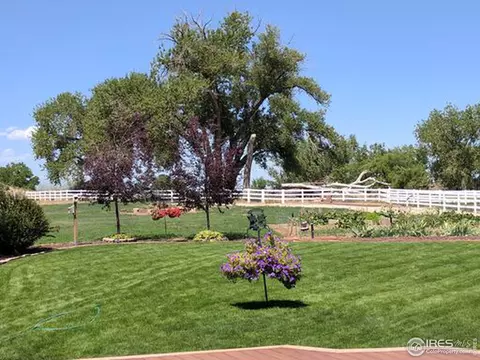 8427 E 163rd Ave, Brighton, CO 80602 photo 6