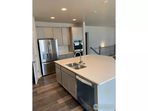 5557 Maidenhead Dr, Windsor, CO 80550 photo 3