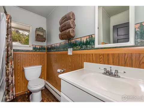 160 E Riverside Dr, Estes Park, CO 80517 photo 32
