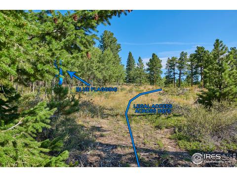 245 Gordon Creek Rd, Boulder, CO 80302 photo 1