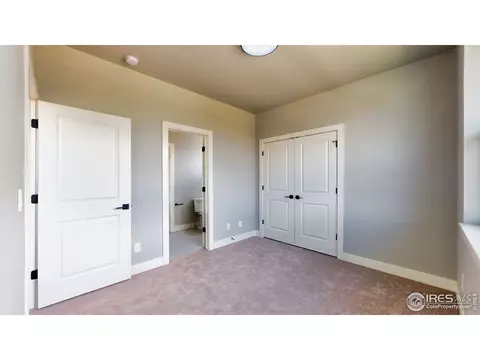 5528 Long Dr, Timnath, CO 80547 photo 22