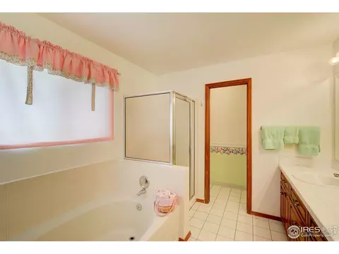 1133 E 130th Dr, Thornton, CO 80241 photo 20