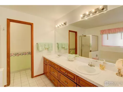 1133 E 130th Dr, Thornton, CO 80241 photo 21