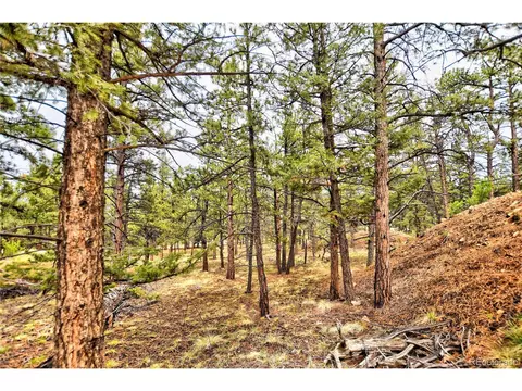 75 Huerfano Dr, Hartsel, CO 80449