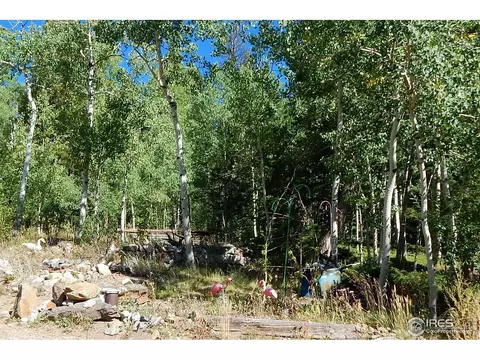 329 Crest View Dr, Black Hawk, CO 80422 photo 32