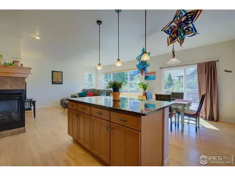 319 Mcconnell Dr, Lyons, CO 80540 photo 23