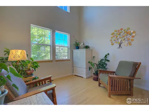 319 Mcconnell Dr, Lyons, CO 80540 photo 8