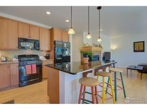 319 Mcconnell Dr, Lyons, CO 80540 photo 18